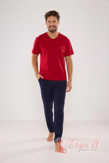 Vėdrantas Pajamas
