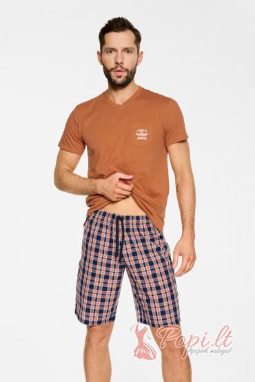 Vyriška pižama Taimis (ruda)